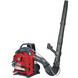 EFCO SA2700BP reppupuhallin