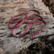 Let It QwiDog talutin BioThane®sta (12 mm) yksivärinen, mittatilaus