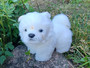 Chow Chow