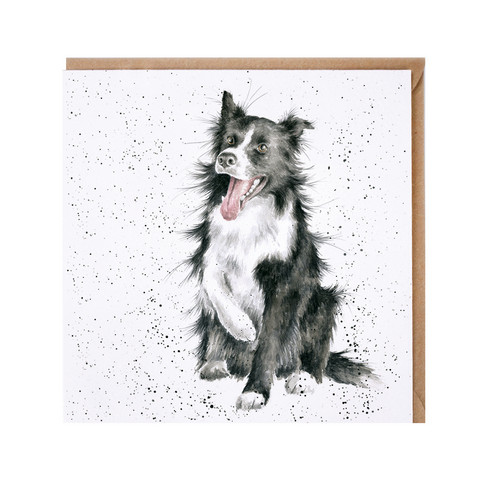 Wrendale bordercollie kortti