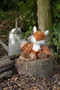 Wrendale Autumn kettu