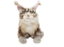 Harmaa Maine Coon kissapehmo