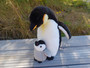 Pingviini ja poikanen pehmo
