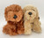 Labradoodle ruskea