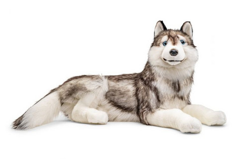 Upea iso makaava husky