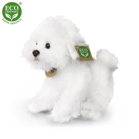 Bichon Frise pehmokoira