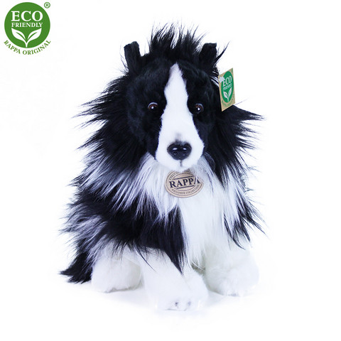 Bordercollie eco