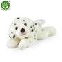Dalmatiankoira 30 cm