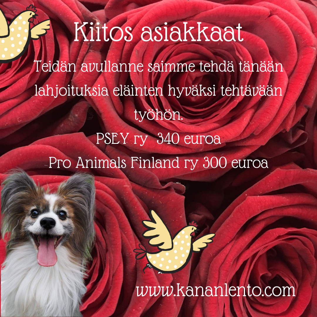 Kananlento lahjoittaa