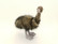Emu pehmoeläin
