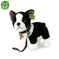 Bostonterrieri pehmokoira