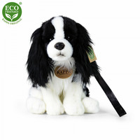 Cavalierkingcharlesinspanieli pehmokoira