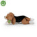 Lötköttävä beagle pehmokoira 20 cm