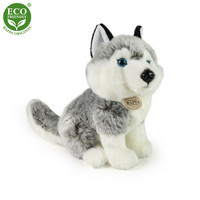 Huskyn pentu 30 cm