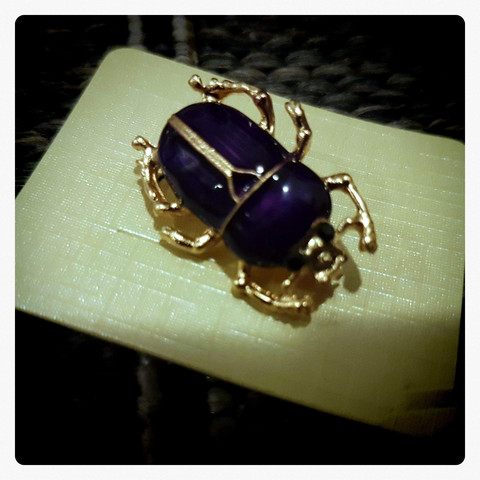 Beetle Bug Brooch