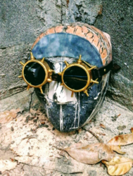 Leather & Brass Goggles, Deluxe model Spike