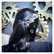 Hair Decor with Steampunk style