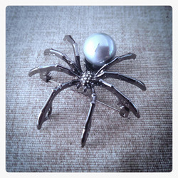 Spider brooch