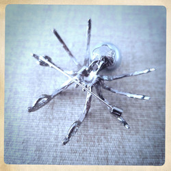 Spider brooch
