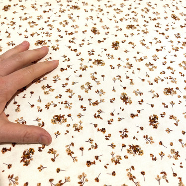 Digitrikoo: Ruskeat minikukat, vaalea beige