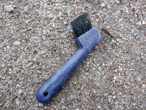 Tummansininen kaviokoukku harjalla