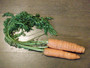 Kotimainen porkkana 10 kg, nouto Ihaastuksesta