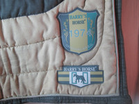 Harry's Horse kouluneliöhuopa