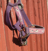 Liila-vaaleanpunainen riimu ja riimunnaru setti, SHETTIS/PONY
