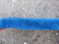 Räikeä sininen teddypehmuste silojen alle tai rintaremmiin 100 cm