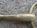 Sprengerin Aurigan nivelkuolain 12,5 cm