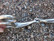 Nivelbaucher 13,5 cm paksuus 16 mm