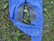 B Vertigo B BVX Alexia softshell ratsastushousut polvigripeillä 38