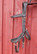 Micklem multibridle ruskeat suitset COB