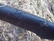 Ravurin neopreeninen mahavyö 90 cm