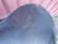 Kieffer Europe CT musta yleissatula 17 tuumaa leveys M