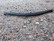 UUSI Döbert Classic musta 38 cm