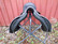 Prestige Hippos Dressage koulusatula, leveys 33, istuin 16