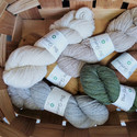 Bio Shetland (GOTS-sertifioitu)