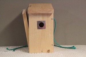 Linnunpöntön askartelupaketti