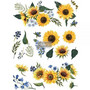 Siirtokuva - Sunflower Field - 76 x 55 cm - Prima Re-Design