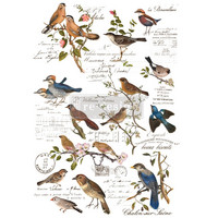 Siirtokuva - Postal Birds - 60 x 88 cm - Prima Redesign
