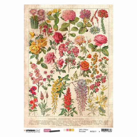 Decoupage-arkki - A4 - Just lou botanical nr.11