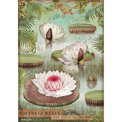 Decoupage-arkki  A4 - Amazonia Water Lily