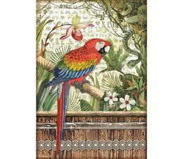 Decoupage-arkki - A4 - Amazonia Parrot