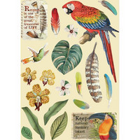 Vanerikoristeet - Levyn koko 14,8 x 21 cm - Amazonia Parrot