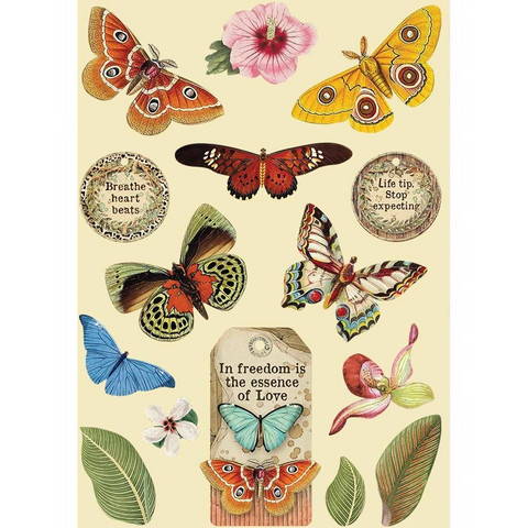Vanerikoristeet - Levyn koko 14,8 x 21 cm - Amazonia Butterfly
