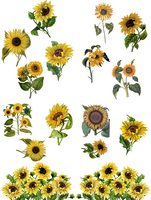 Siirtokuva - 62 x 81 cm - Sunflowers - Belles and Whistles