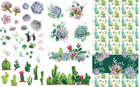 Siirtokuva - 65 x 98 cm - Cacti & Succulents - Belles and Whistles
