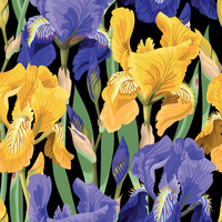 Decoupage-arkkisetti - Floral on Black - Belles and Whistles