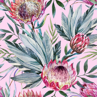 Decoupage-arkkisetti - Tropical on Pink - Belles and Whistles